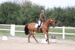 SBM_017414