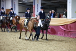 Class 0 - Ridden Pairs Champ portfolio