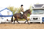 SBM_00242