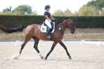 Class 6 - Novice 2 portfolio
