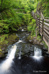Waterfall Walkway - Glenariff Forest Park, County Antrim.
