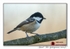 191129-7D-8E0A1361-Edit-Edit