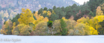 Loch an Eilien Castle from the North East, 2