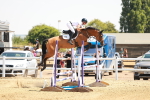 SBM_001883