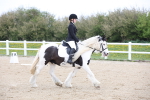 SBM_006567