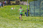 The Finish-60