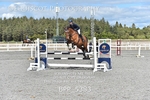 BPP_5383