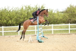 SBM_000660