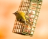 20110308-IMG_1860