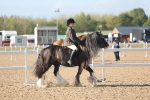 SBM_22192
