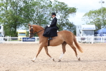 SBM_03447