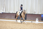 SBM_004605