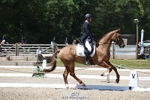 Rider 151 to 159 portfolio