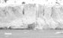 Svalbard Glacier Front