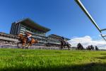 141023-Race 3-Montassib-3973