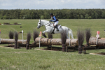BVHT 140517  IXC -601