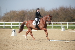 SBM_008556