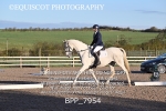 BPP_7954