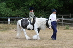 WJ7_6931