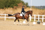 SBM_017887