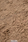 230401A-153514-03815