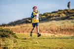 Sale Fell-106