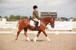 SBM_05874