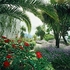 Ravello