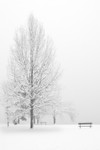 Blanket Of Silence