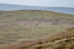 Black Combe-6