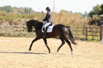 SBM_010562