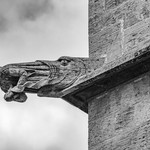 Jonah and the Whale, La Lonja, Valencia