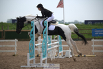 Axe Vale PC Showjumping, Saturday 18th = Click to View portfolio