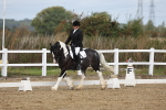 SBM_000923