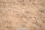 240324A-115052-01583