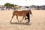 SBM_04607