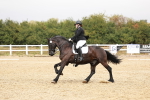 SBM_001910