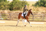 SBM_000386