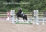 BPP_8311