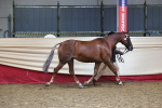 SBM_22273