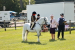 SBM_12741