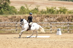 SBM_001800