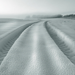 Snow Tracks
