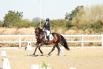 SBM_016887