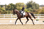 SBM_016985