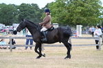 WJ7_7815