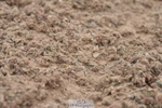 240623A-111630-17072