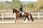 SBM_018241