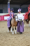 Class 105 - Ridden Costume - Astride Junior portfolio