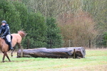 WJ6_5009